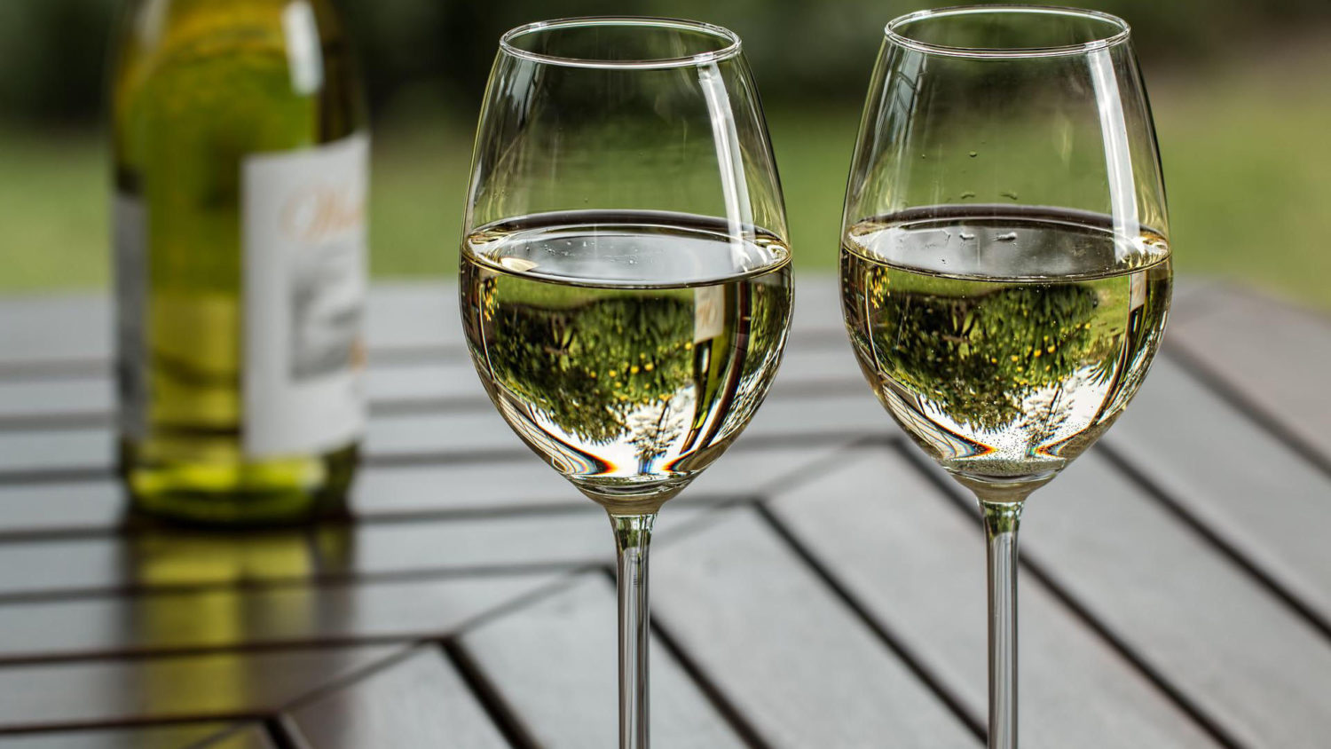 White wine in wine glasses and wine bottle on a picnic table
