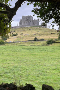 A stone cathedral atop a hill is framed by branches of a tree in the foreground.