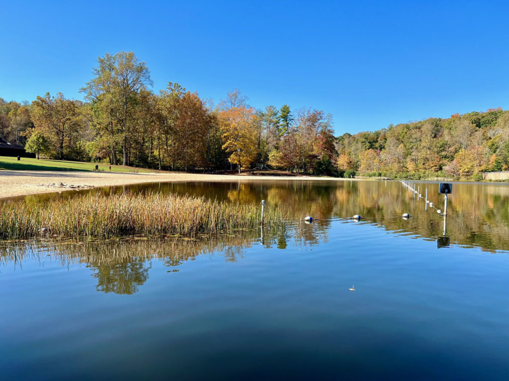 Trees with fall foliage and a cloudless sky reflect in a lake with a beach